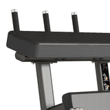 Toorx FWX-9500 Curl Femoral de pie Absolute